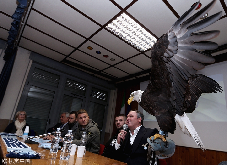 拉齐奥进学校 蓝鹰大鹏展翅