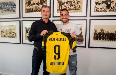 76a19fefly1fuq5cflf7sj20ci084q40