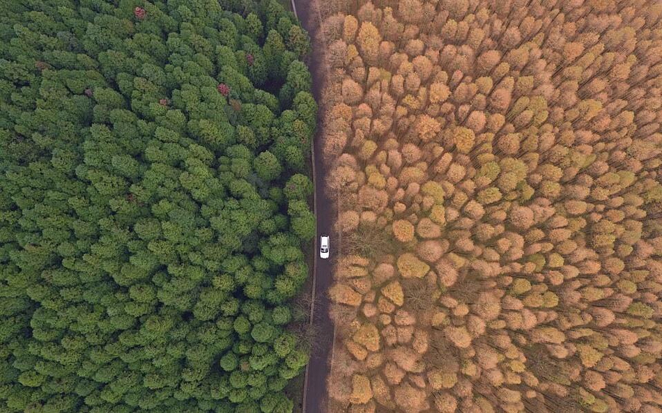 2016 山王坪航拍