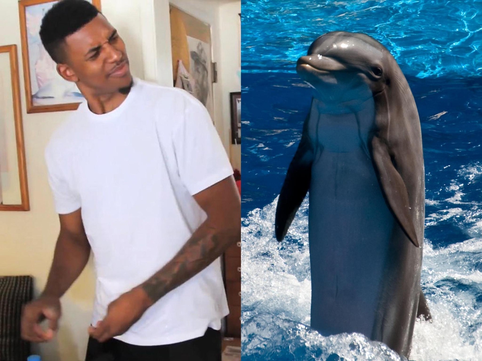 5、尼克-杨害怕海豚