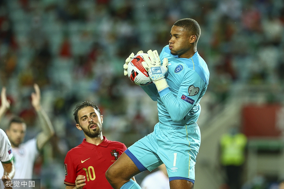 [世预赛]葡萄牙2-1爱尔兰 C罗两球致胜