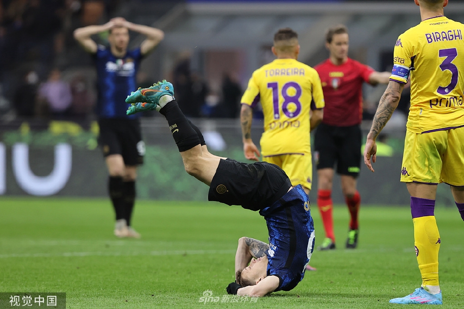 [意甲]国米1-1佛罗伦萨 邓弗里斯破门