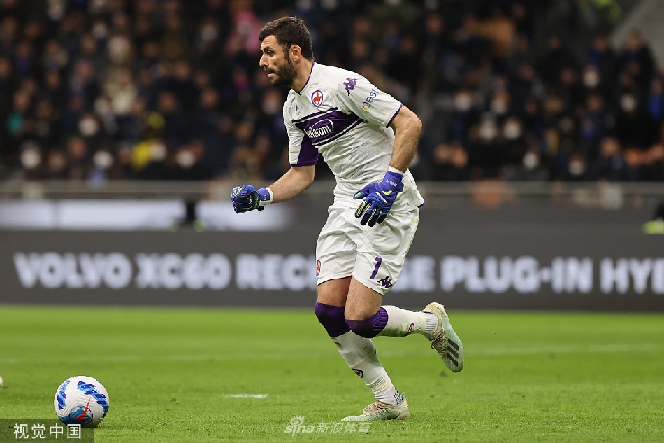 [意甲]国米1-1佛罗伦萨 邓弗里斯破门