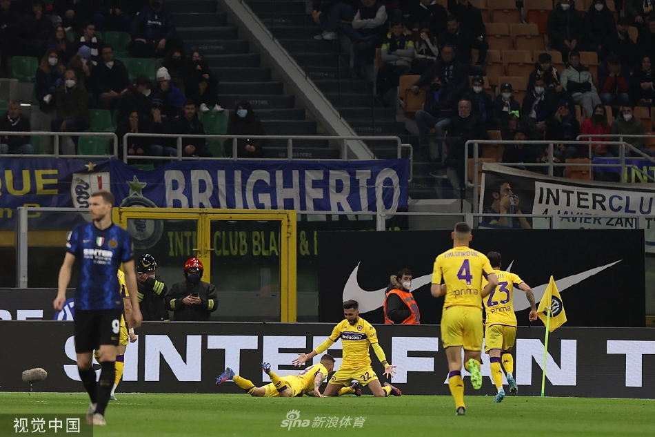 [意甲]国米1-1佛罗伦萨 邓弗里斯破门