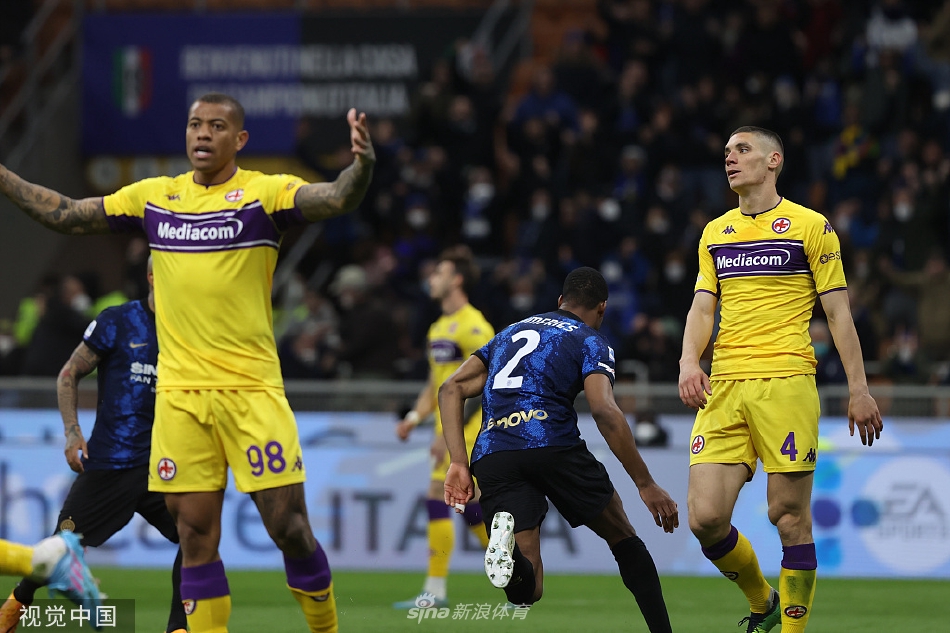 [意甲]国米1-1佛罗伦萨 邓弗里斯破门