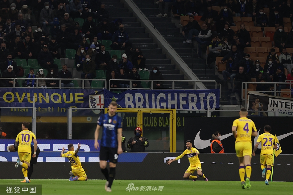 [意甲]国米1-1佛罗伦萨 邓弗里斯破门