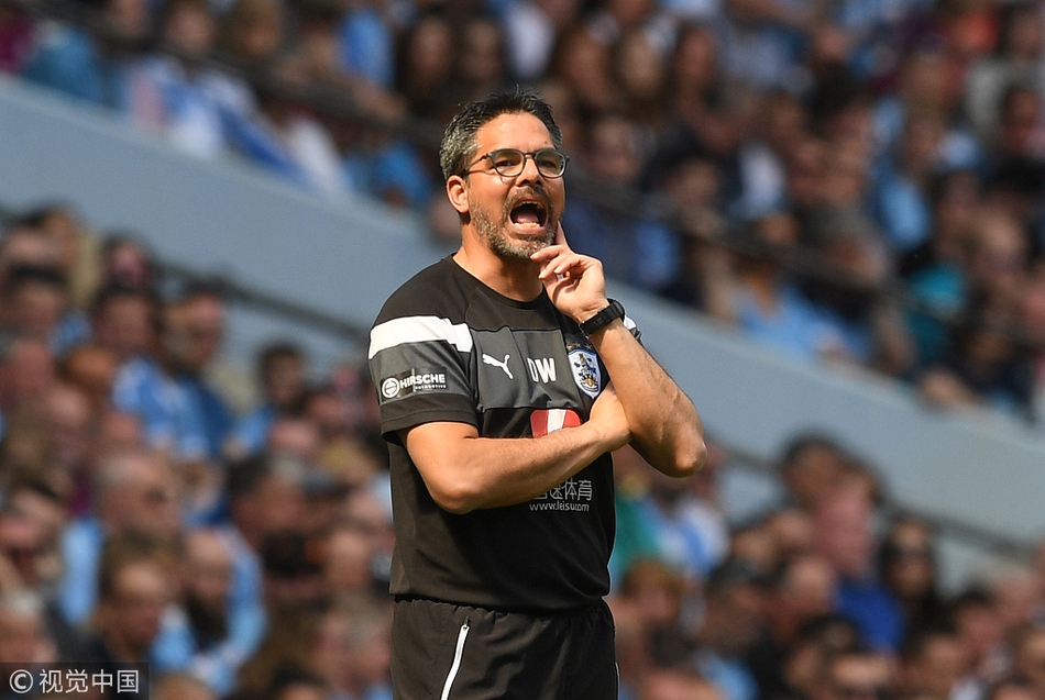 瓦格纳指挥比赛