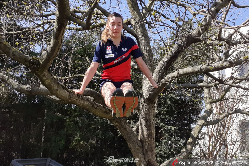 各路体育大神家庭健身各显神通