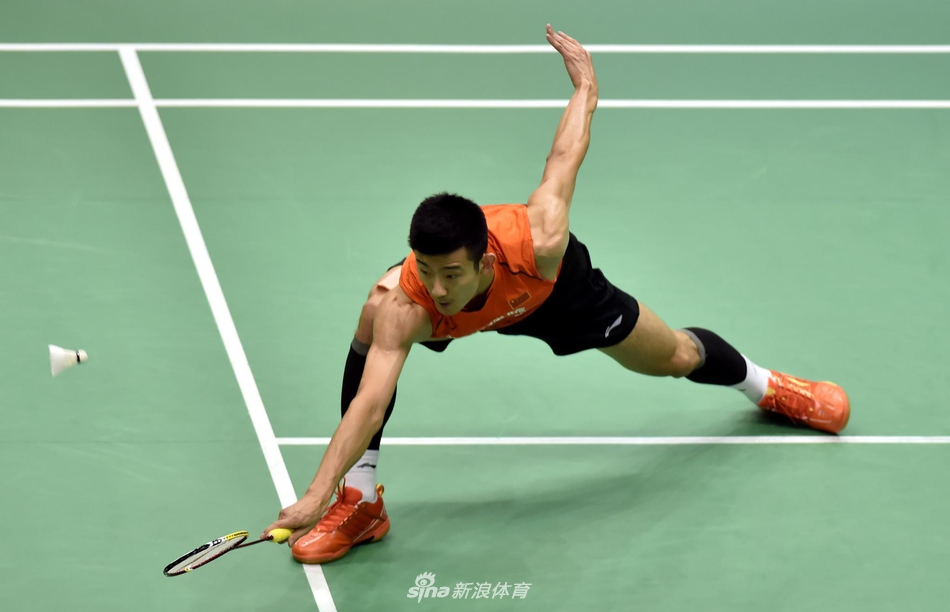 香港赛谌龙进次轮