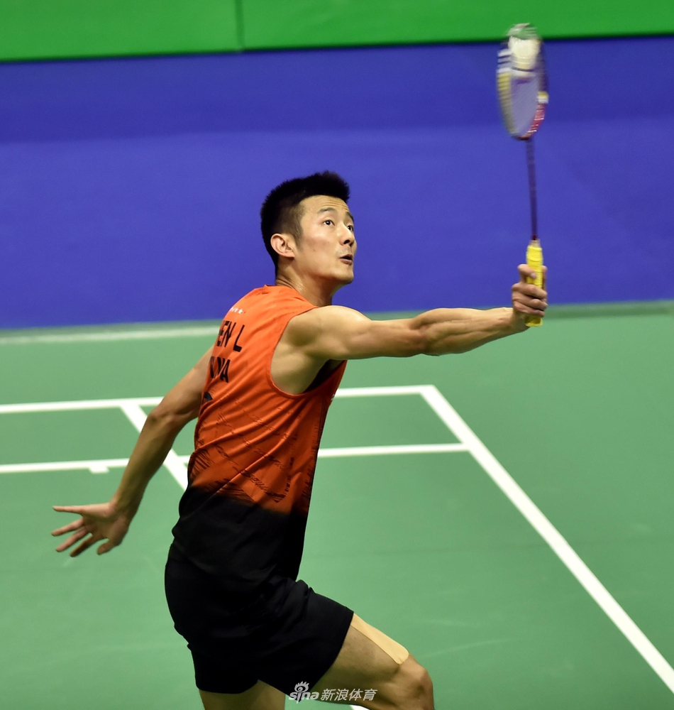 香港赛谌龙因伤退赛