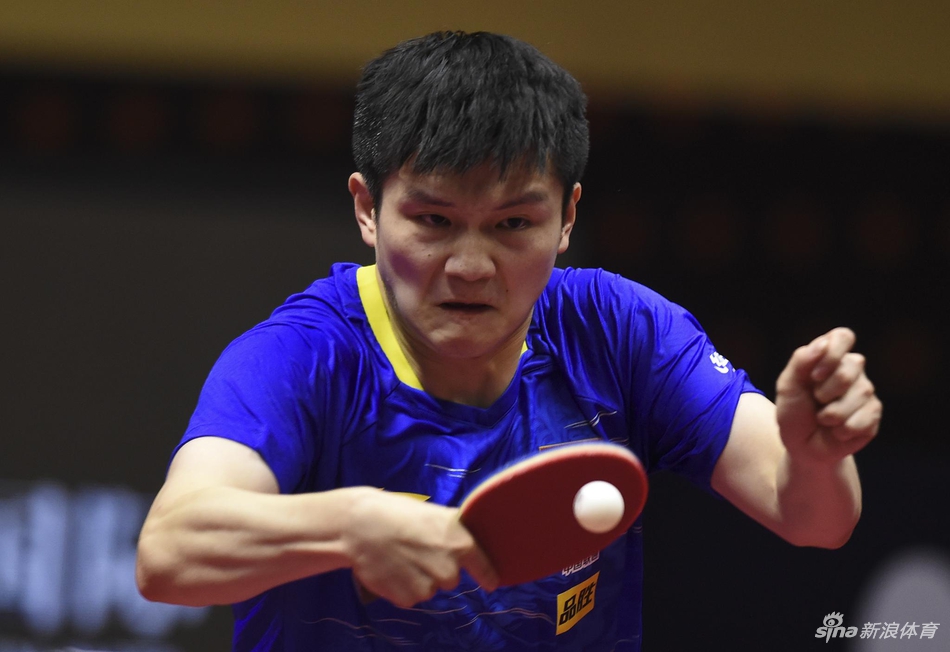 卡塔尔赛樊振东夺冠
