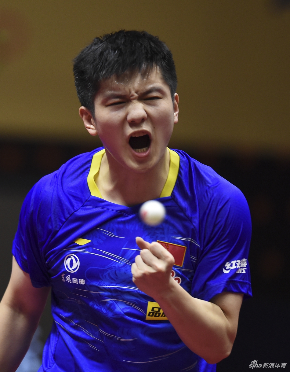 卡塔尔赛樊振东夺冠