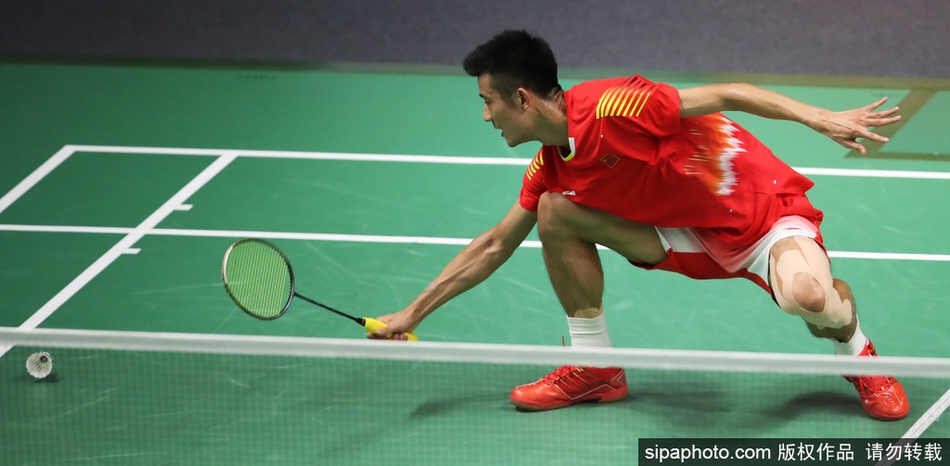 亚运会谌龙无缘四强