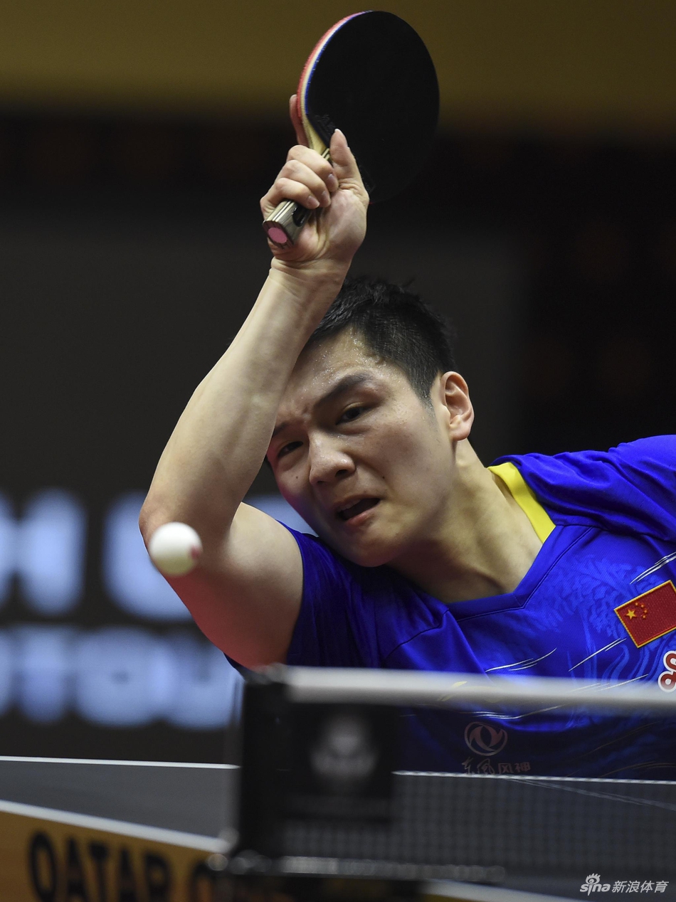卡塔尔赛樊振东夺冠