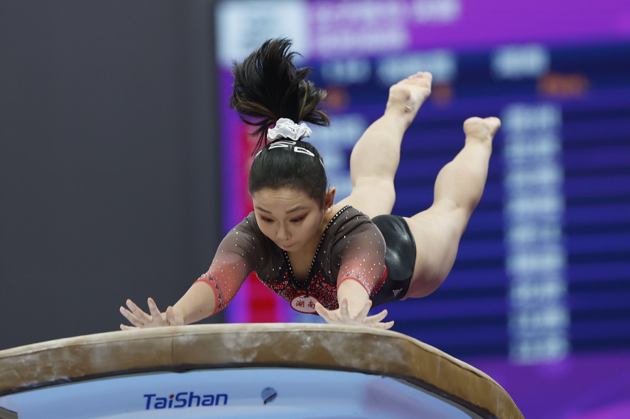 全国体操锦标赛单项决赛