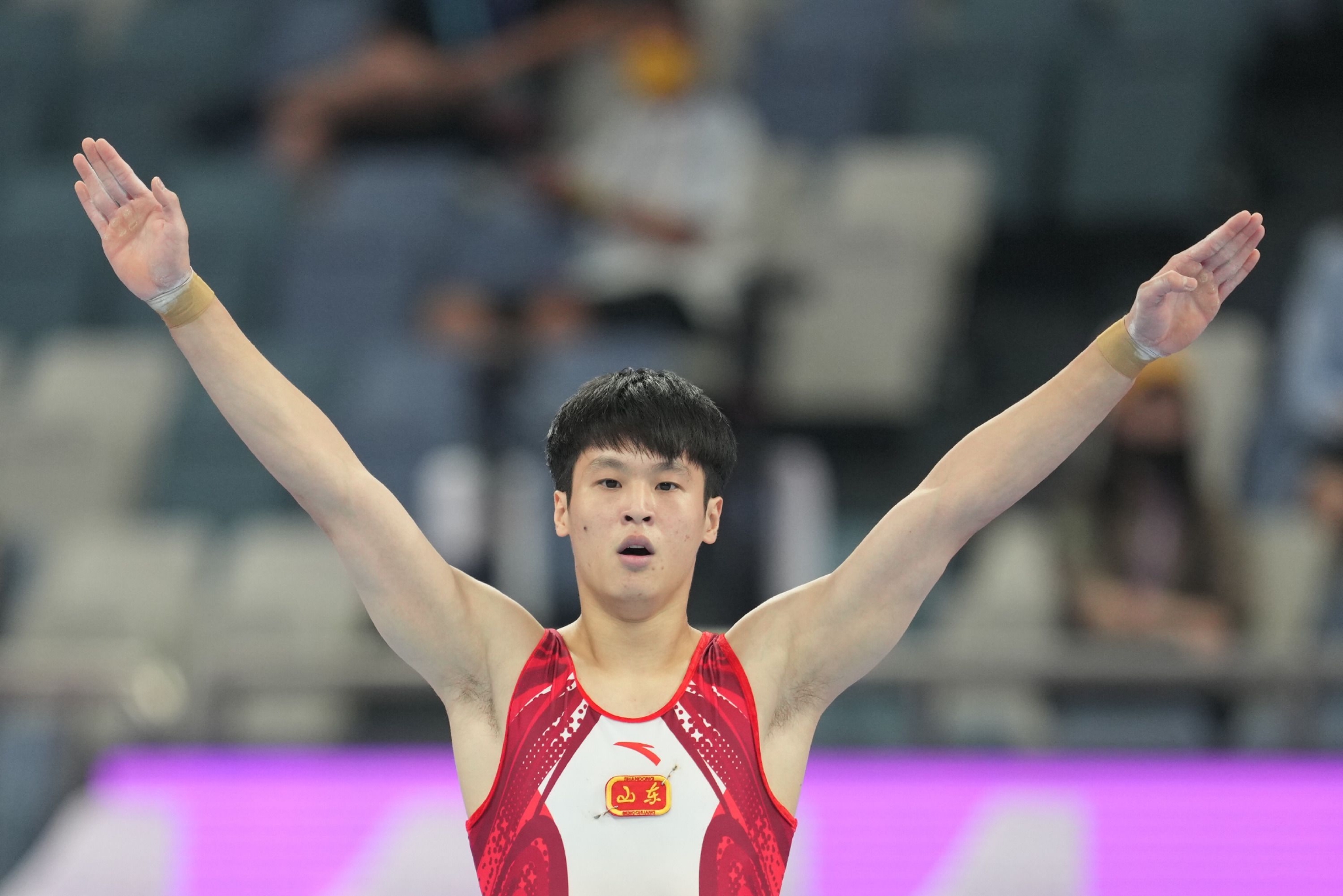 全国体操锦标赛单项决赛