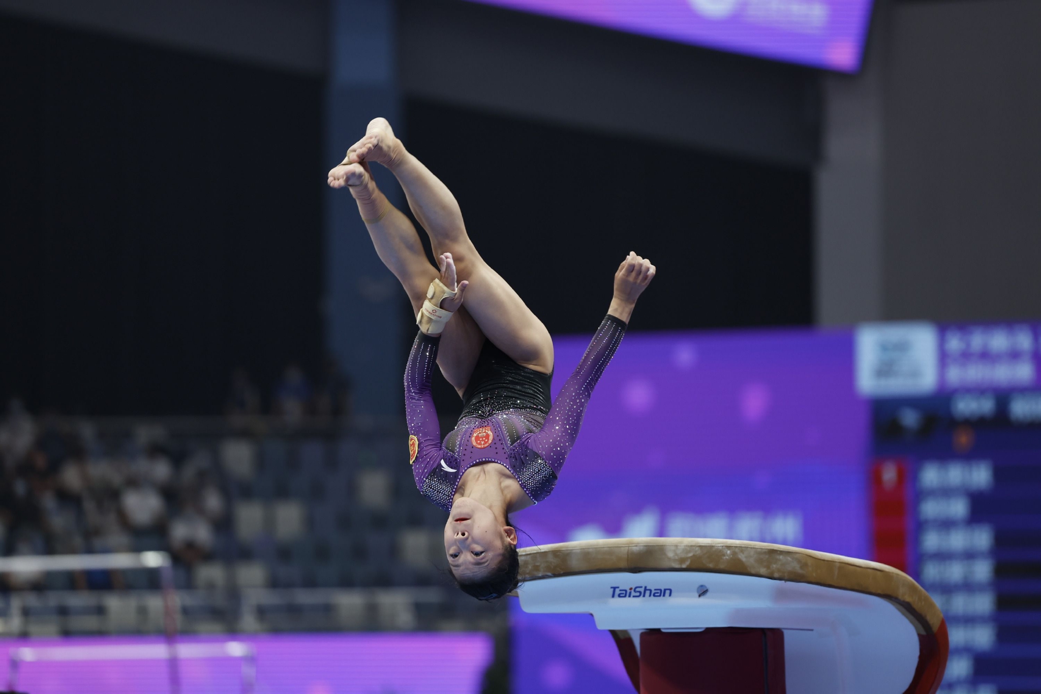 全国体操锦标赛单项决赛