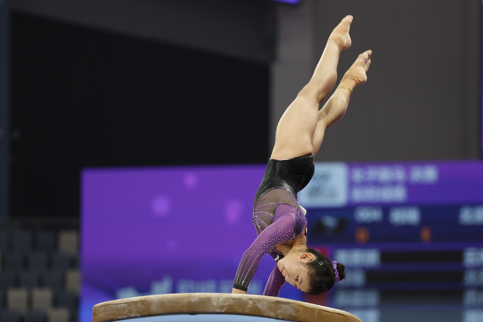 全国体操锦标赛单项决赛