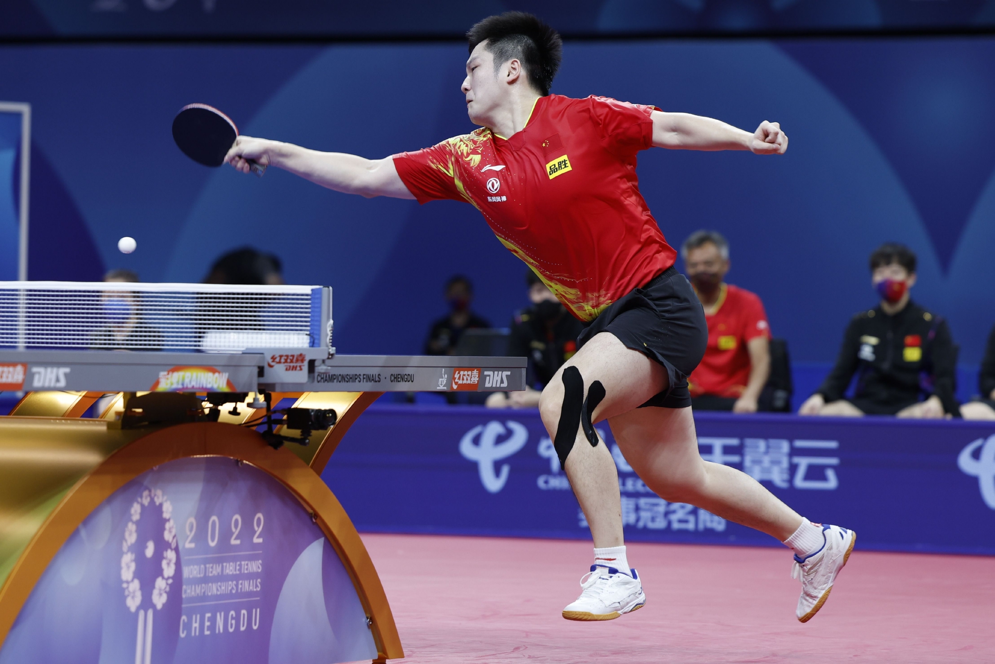 [世乒赛]中国3-0印度