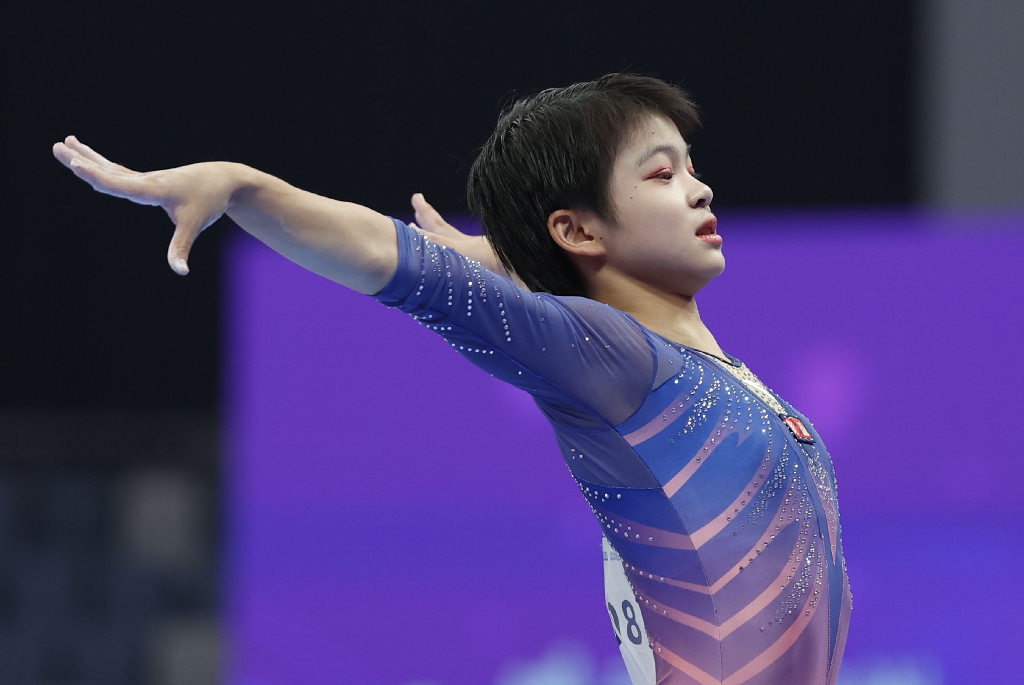 全国体操锦标赛单项决赛