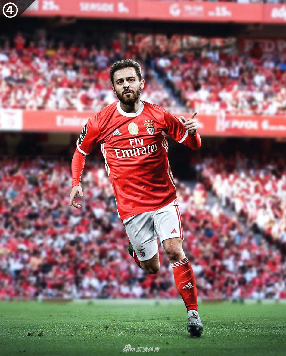 若他们从未离开自己的母队…