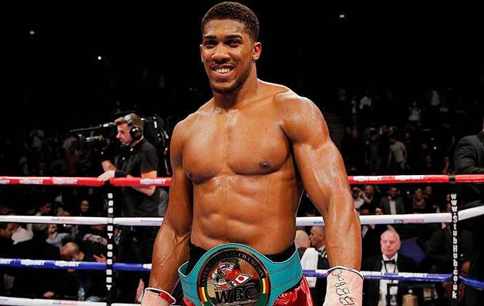 第14名：拳击-约舒亚，4940万