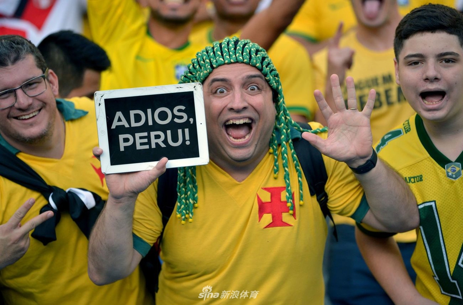 女球迷人体彩绘为巴西助威