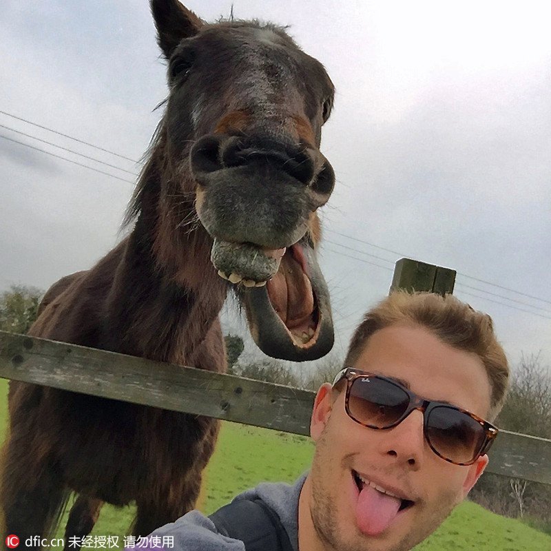 马的搞笑时刻_高清图集_新浪网