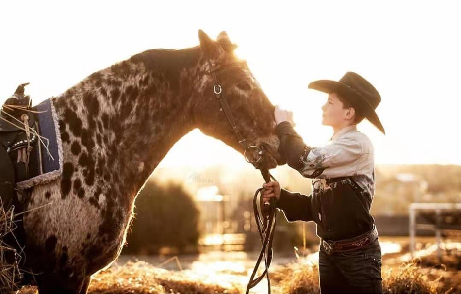 西部牛仔与他们的马儿