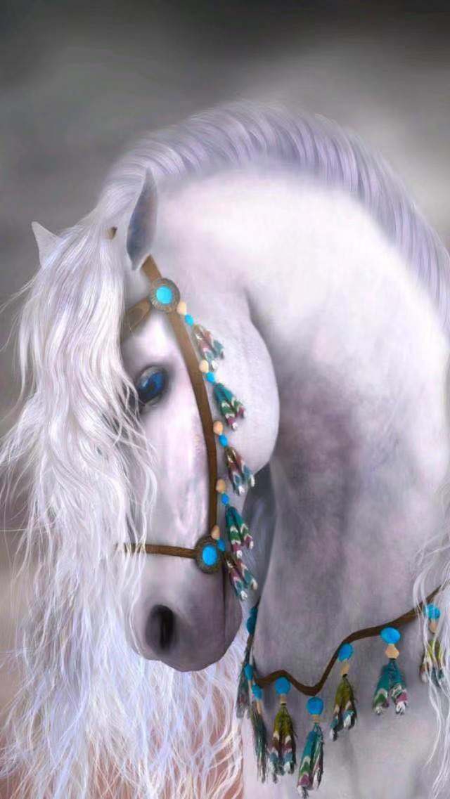 骏马手机壁纸,快来收藏一波