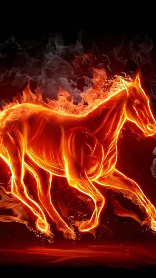 骏马手机壁纸,快来收藏一波