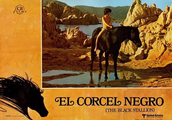 马术电影《黑神驹》:小男孩和马的奇幻漂流