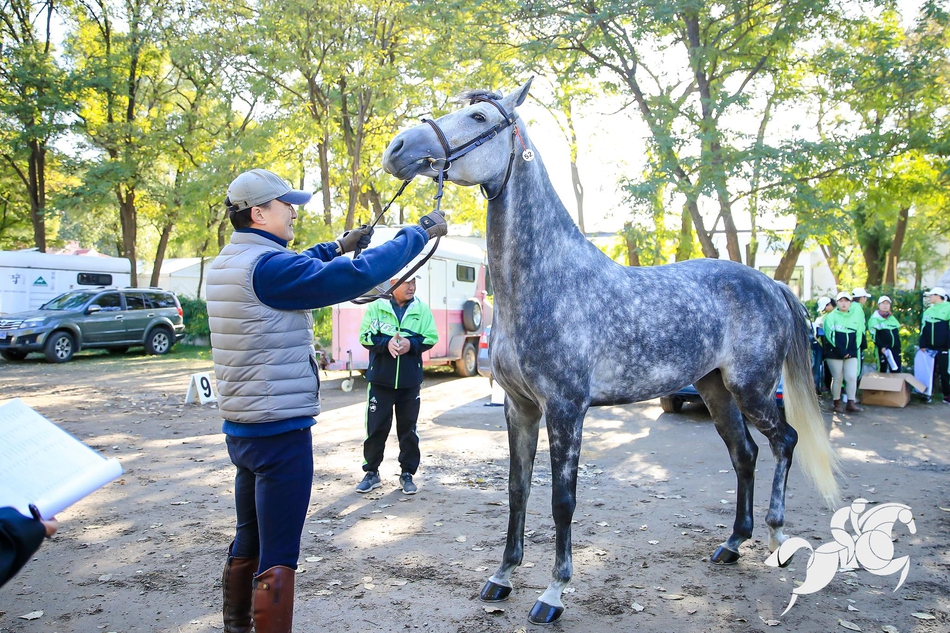 2019首届中国年青马西坞大奖赛首日精彩_高清图集_新浪网