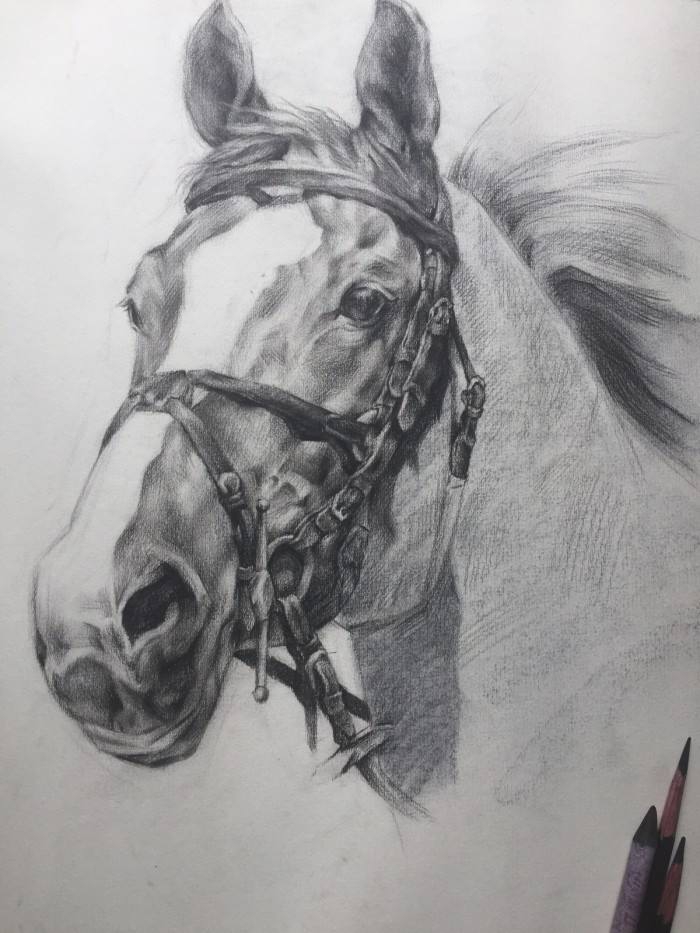 支持   键翻阅图片 列表查看 大图 全屏观看 1 / 10 素描,以单色描绘