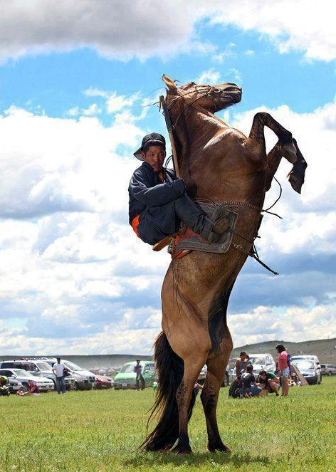 马背上的民族之一