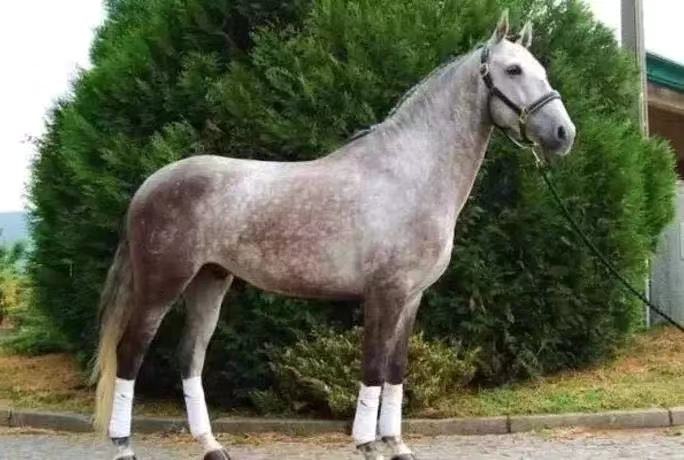 罗叔范蔡甸果断的拉手果断地将罗拉的手拉好,三个人的身体素质并不差