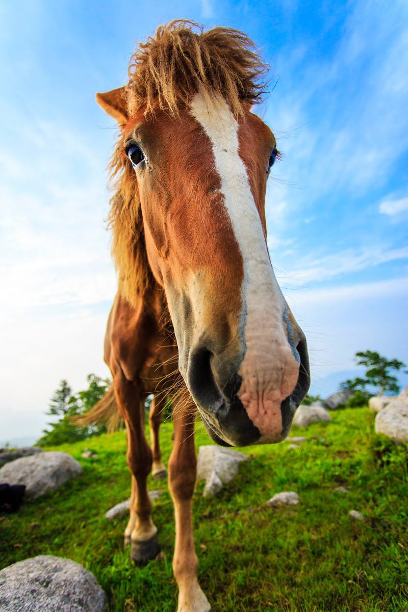 拼搏在线3d彩神通_ヴィタ