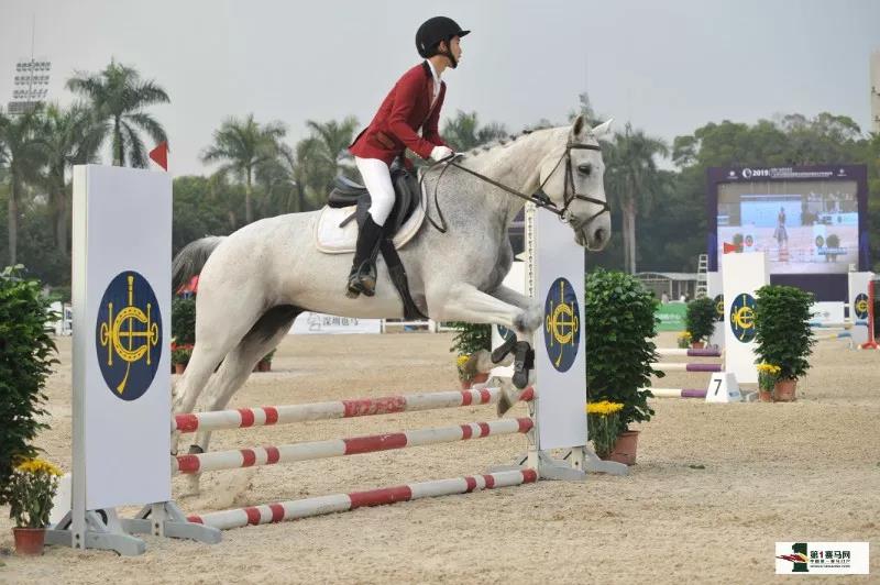 广东省马术联赛香港赛马会杯总决赛