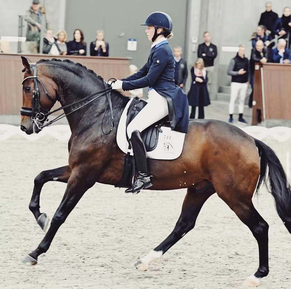 盛装舞步的比赛瞬间