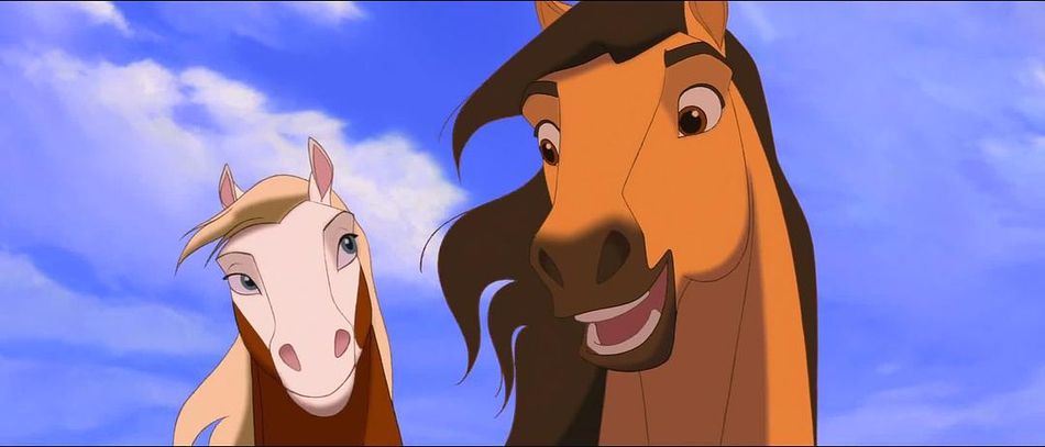 电影《小马王》_高清图集_新浪网