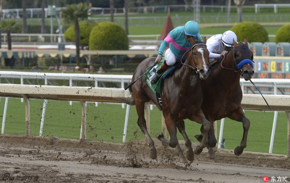 美国最美跑马场 泥地赛马战事激烈泥浆四溅