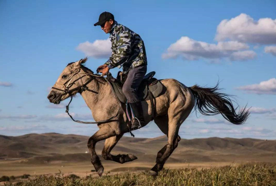 1 / 9 马背上的草原,充满了生机勃勃的野性,马,草原,牧民,似乎天生就