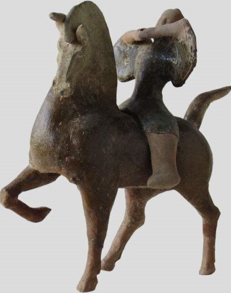 舞马:马中的舞蹈家_高清图集_新浪网