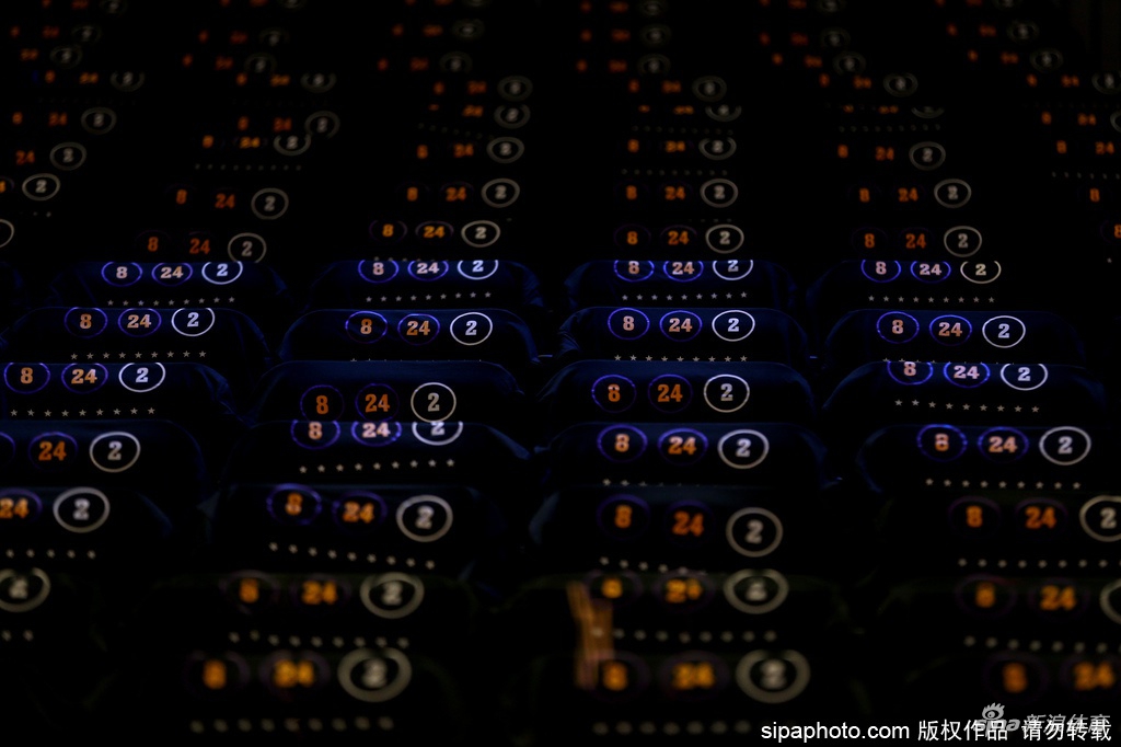 勇士主场致敬科比 紫金KB24环绕全场