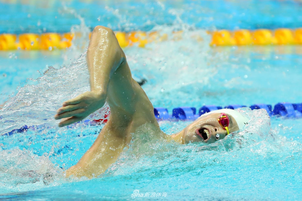 孙杨800自预赛与霍顿擦肩而过 一个晋级一个被淘汰