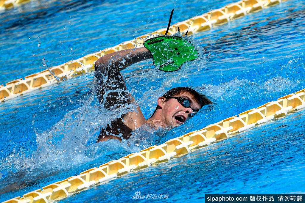意大利游泳运动员正式复训 训练备战比赛