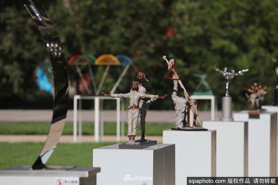 北京冬奥会系列首展（飞翔的梦.情系冬奥）在北京冬奥组委开幕