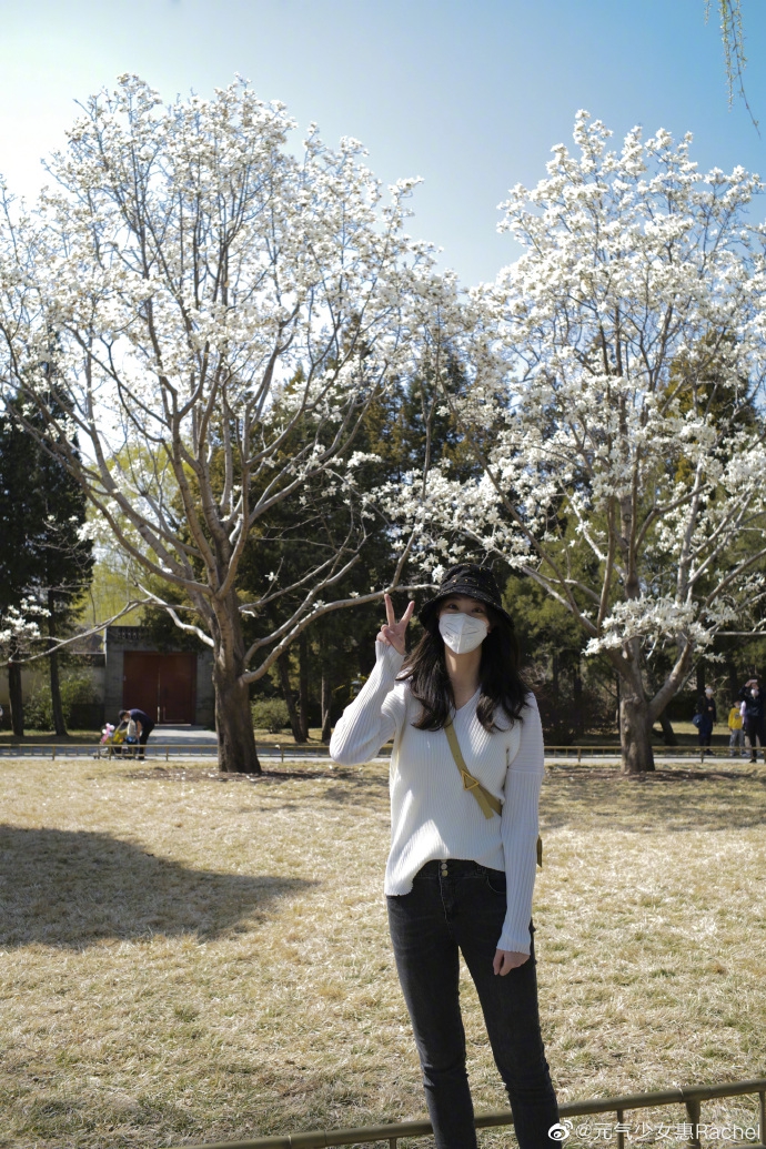 人比花娇！惠若琪戴口罩出门赏花