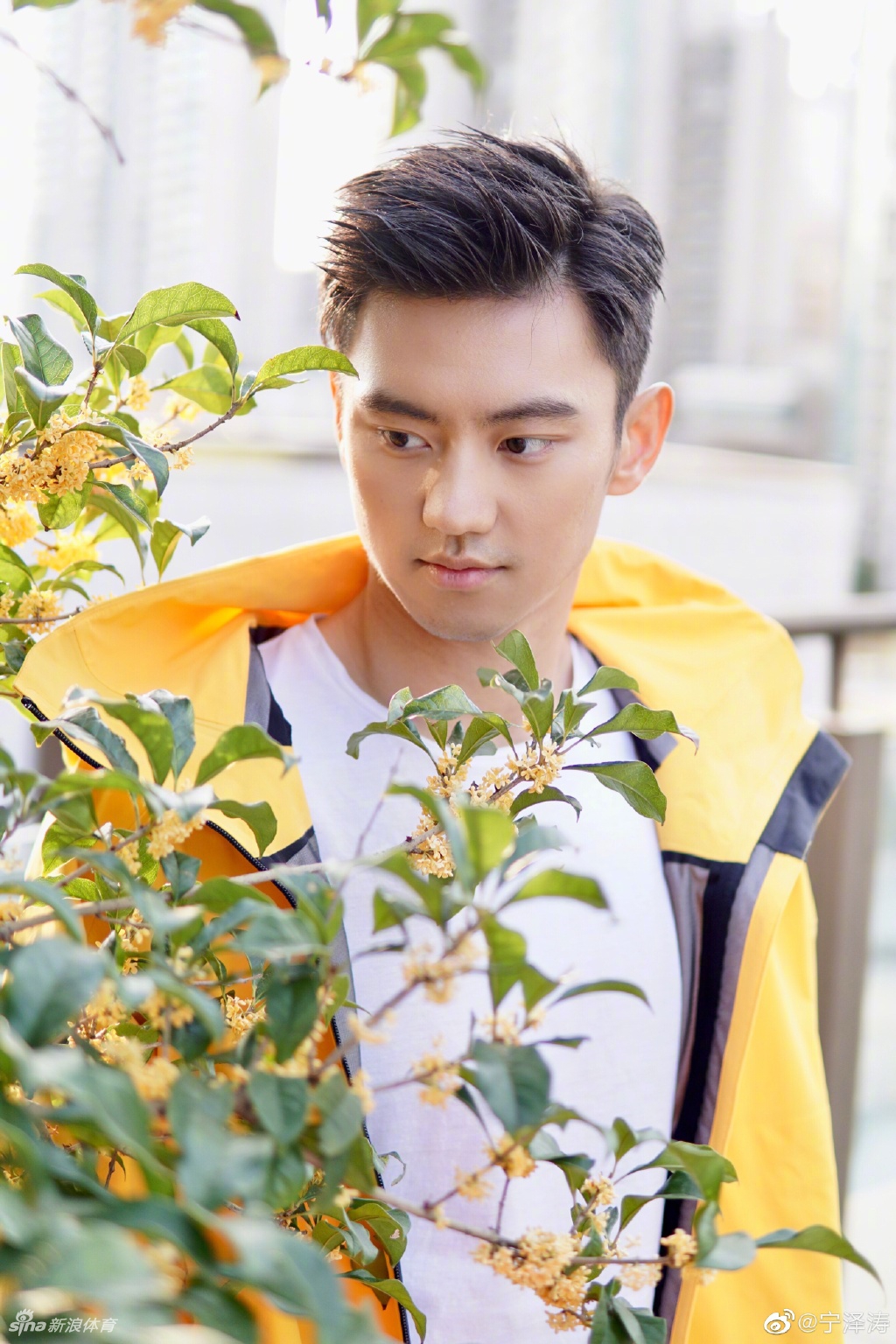 宁泽涛：运气不会总眷顾心怀卑劣欲望的人