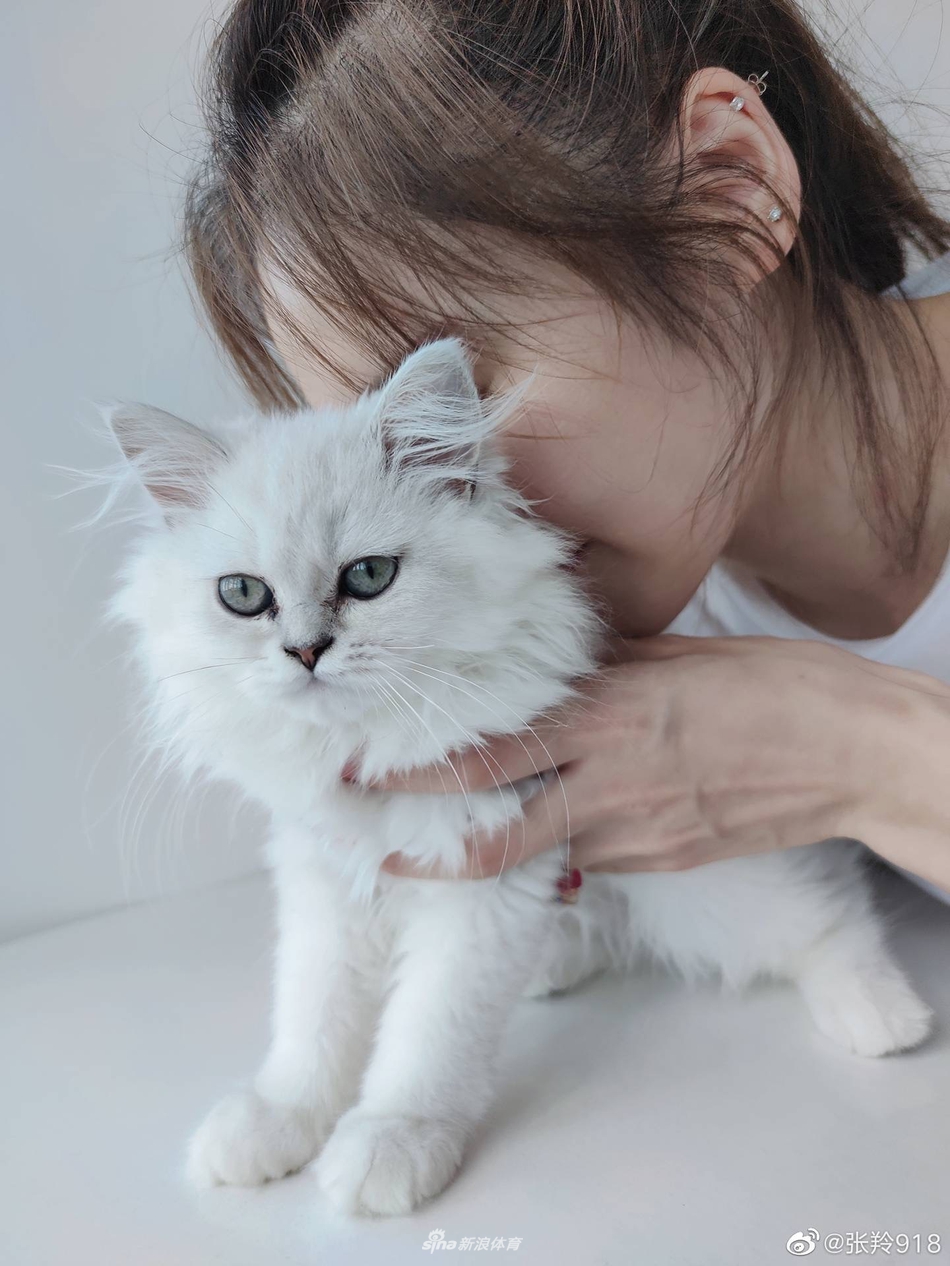 艺体六美之张羚 撸猫自拍心情佳